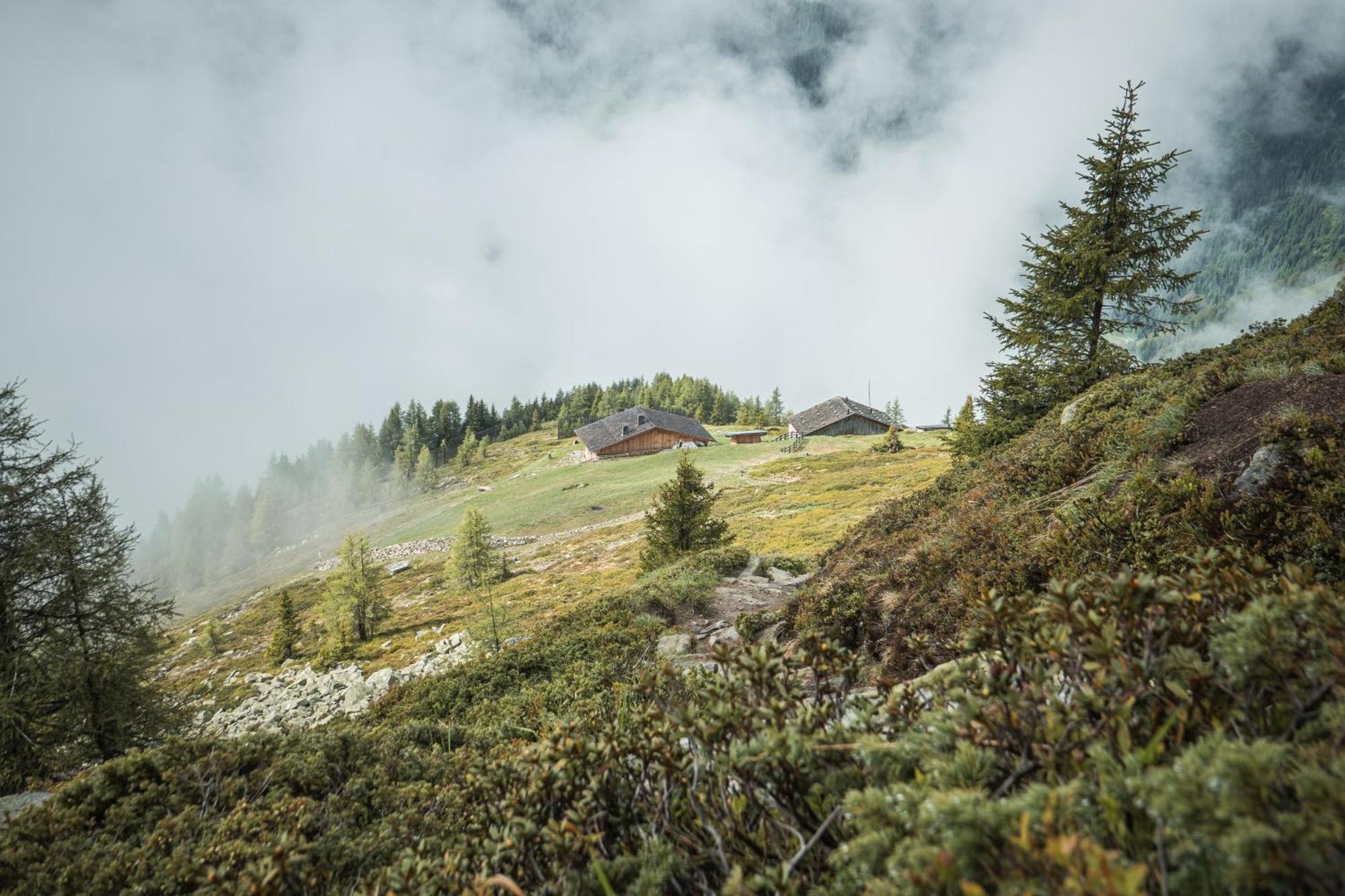 Apparthotel Sonnwies Selva dei Molini Buitenkant foto